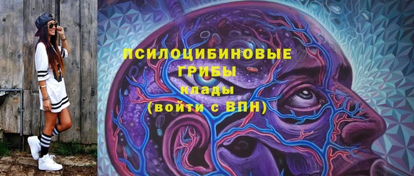 apvp Магас