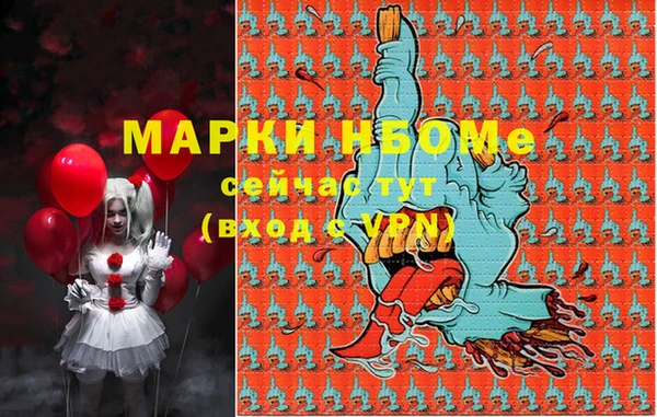 стаф Магадан