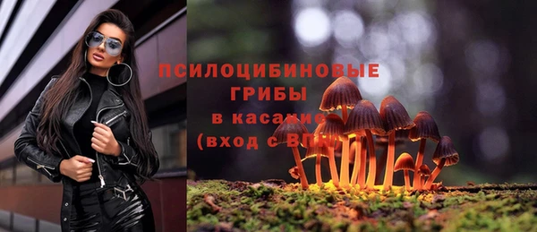apvp Магас