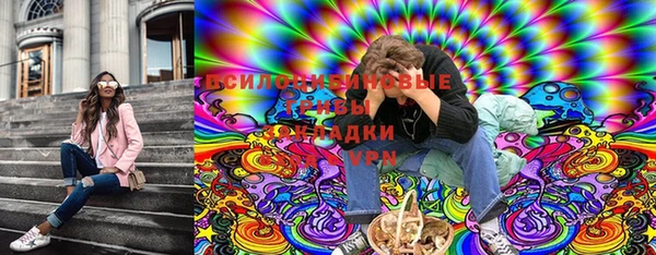 стаф Магадан
